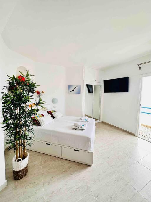 Mirador Paraiso: Superb Sea View Playa Paraiso  Exterior photo